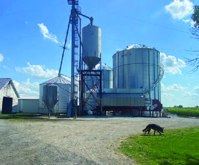 Merrill Lynch Spotlight 4