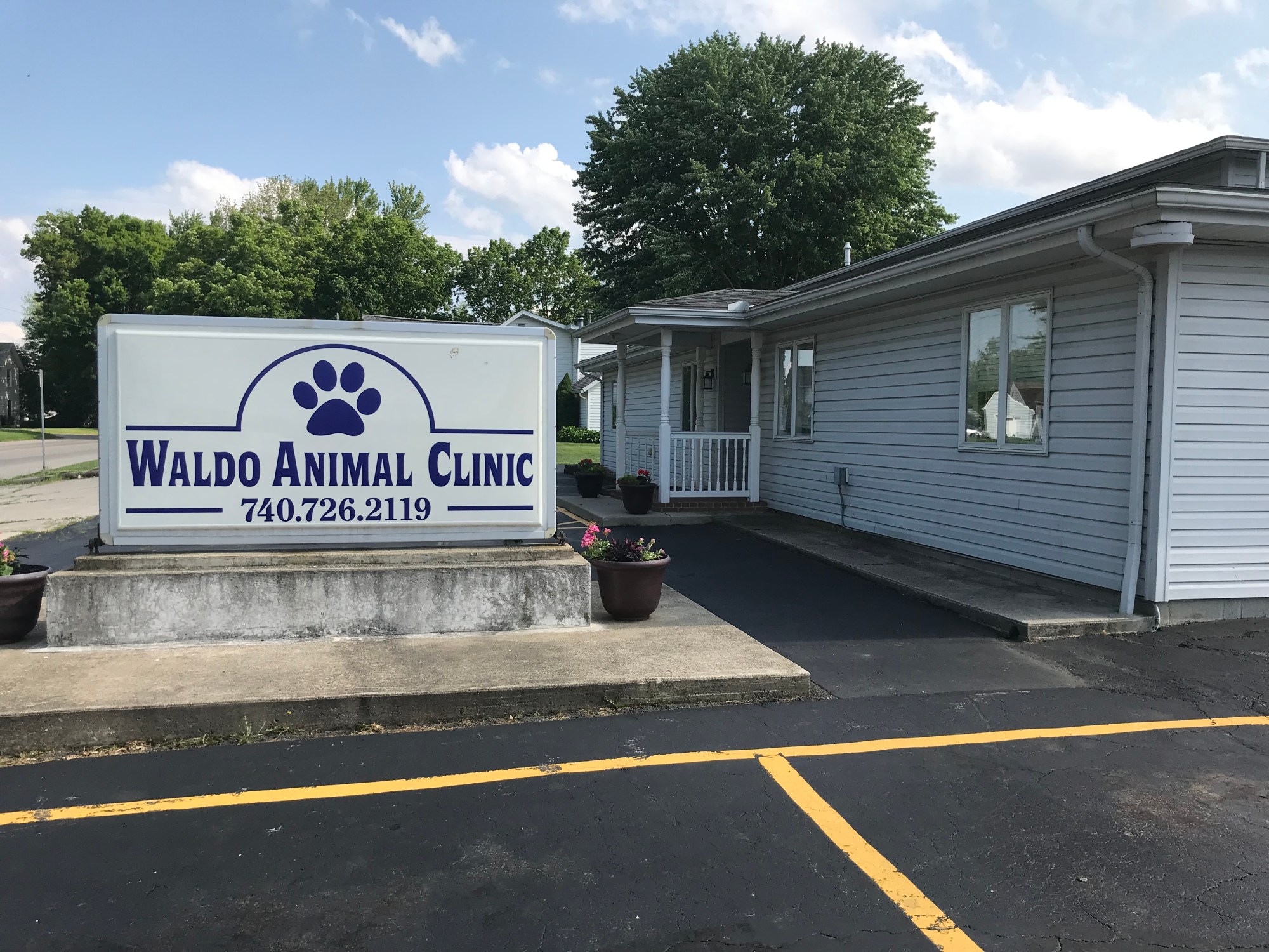Contact Our Saint Augustine Veterinarians at Moultrie Animal Clinic